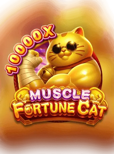 qq88c qq88c